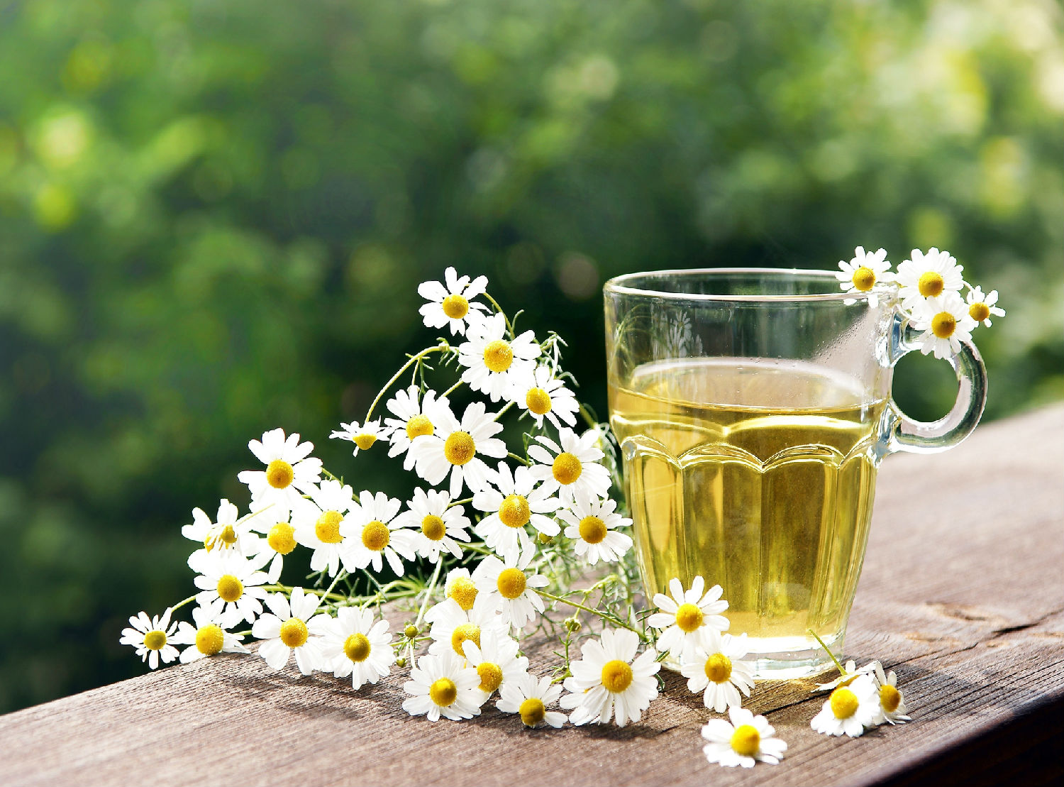 camomile-tea.jpg